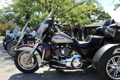ccvfw-1000024319